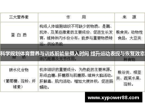 科学规划体育营养与训练前能量摄入时间 提升运动表现与恢复效率