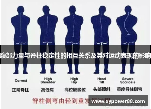 腹部力量与脊柱稳定性的相互关系及其对运动表现的影响