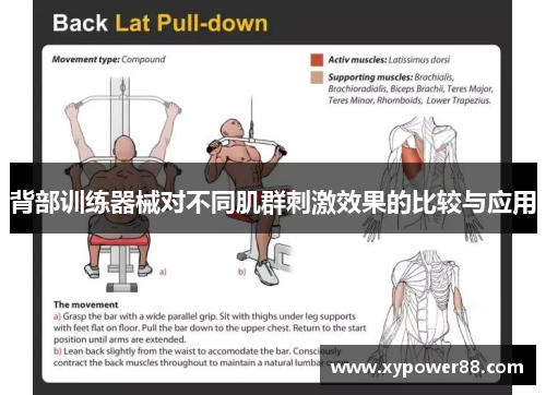背部训练器械对不同肌群刺激效果的比较与应用